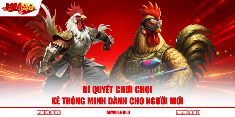 Bí quyết chơi chọi kê thông minh dành cho người mới